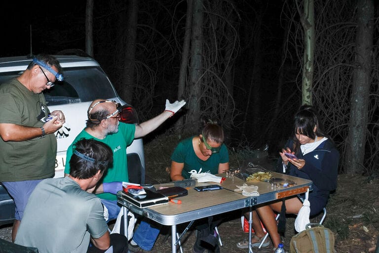 Un año dedicado a la conservación de murciélagos forestales en Albacete