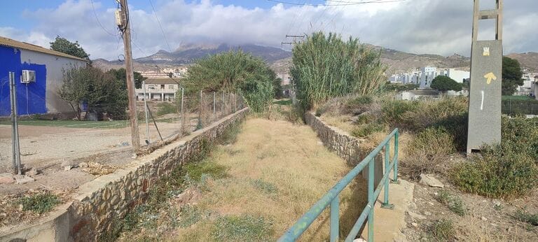El PSOE de Lorca exige la limpieza de los tramos urbanos de las ramblas ante el riesgo de posibles lluvias torrenciales durante el mes de septiembre