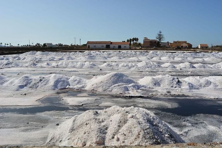 Primera cosecha de sal en las Salinas de Marchamalo después de 30 años de abandono