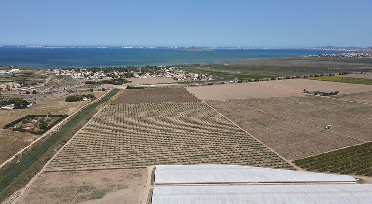 Ecologistas en Acción-Región Murciana demanda la reducción de los regadíos industriales y acabar con los pozos y regadíos ilegales, como única forma de reducir los impactos por la sequía y la escasez hídrica