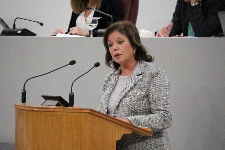 El PSOE exige al Gobierno regional que mejore el transporte público interurbano en la Región de Murcia