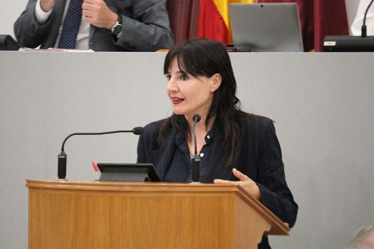 El PSOE pide un gran pacto social contra la violencia de género y denuncia el retroceso democrático en la Asamblea Regional