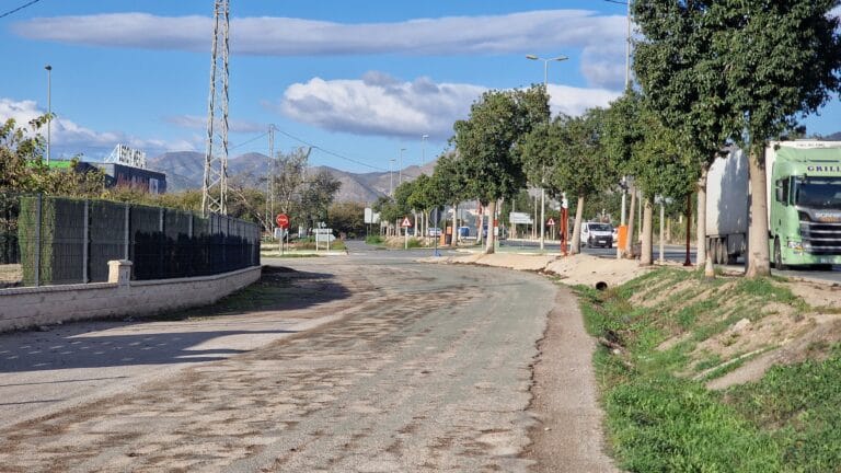 El PSOE de Lorca denuncia el abandono de la vía de servicio de la autovía Lorca-Águilas y exige actuaciones urgentes