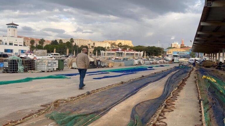 Torres exige a Arroyo que reclame apoyo europeo para la moratoria pesquera propuesta por el Gobierno