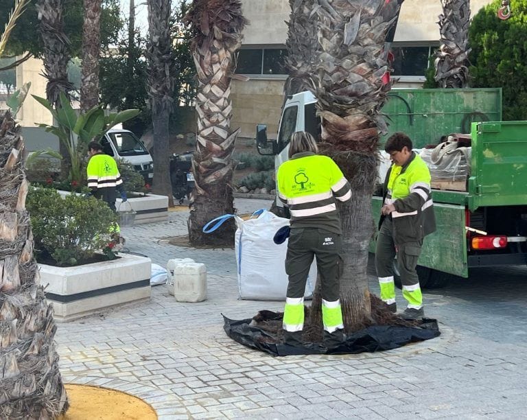 PSOE critica la "nula gestión" del PP con Parques y Jardines en Murcia