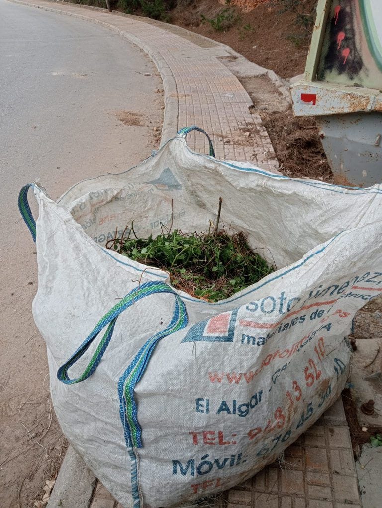 ANSE alerta sobre la expansión de especies invasoras que amenazan la biodiversidad en Cartagena