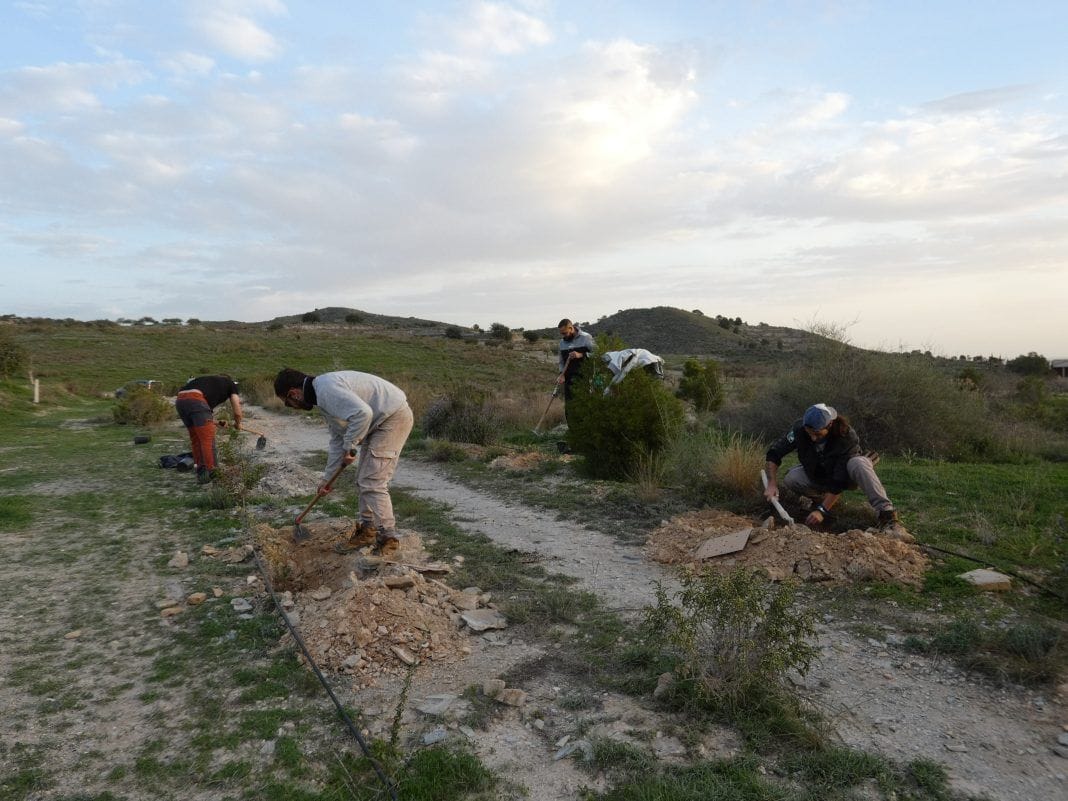 El proyecto Spartaria impulsa la plantación de flora autóctona en Cartagena