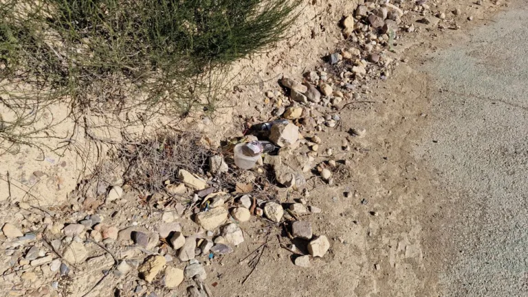 El PSOE de Lorca denuncia el abandono del carril bici de la Avenida Fuerzas Armadas.