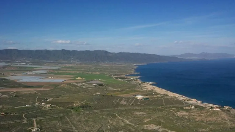 Marina de Cope logra el respaldo de SEO/BirdLife como área clave para la conservación de las aves