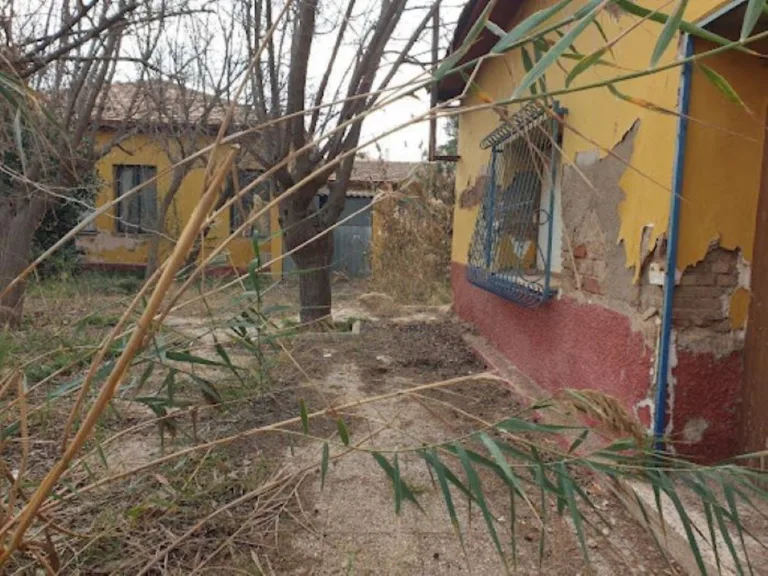 Carmina Fernández acusa a PP y Vox de desinterés ambiental al rechazar la rehabilitación del Aula de la Naturaleza