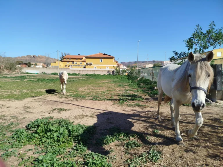 El Partido Cantonal denuncia el abandono del consultorio de Alumbres por parte del Ayuntamiento