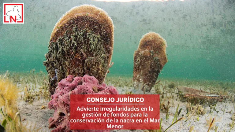 El Consejo Jurídico de la Región de Murcia advierte irregularidades en la gestión de fondos para la conservación de la nacra en el Mar Menor