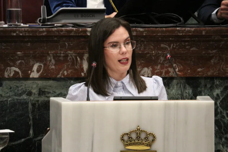 El PSOE denuncia el rechazo de PP y Vox a una Renta Básica Autonómica en la Región de Murcia