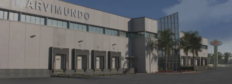 El PSOE de Alguazas critica la falta de estrategia del Ayuntamiento tras la marcha de Marvimundo