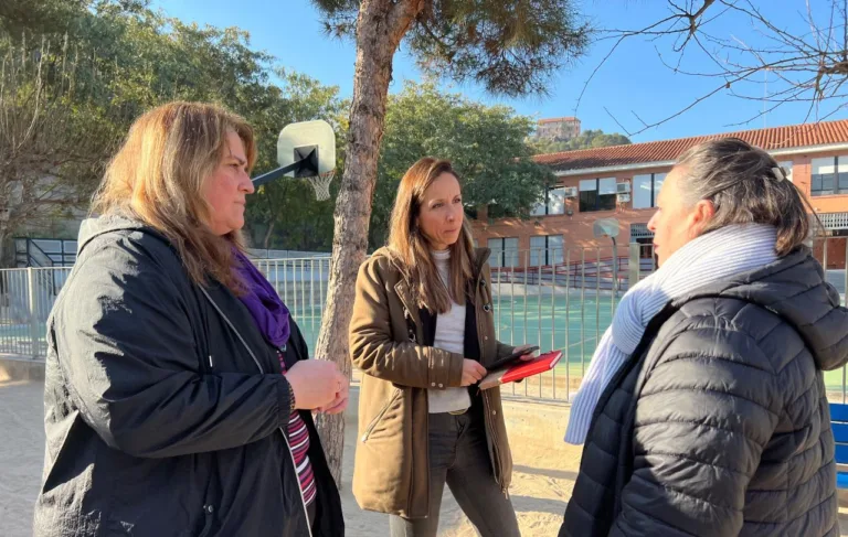 El PSOE denuncia la falta de mantenimiento del arbolado en colegios públicos de Murcia