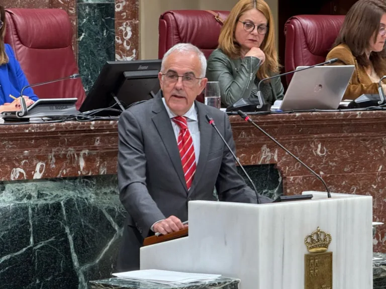 El PSOE exige una ley para frenar el caos en las ITV y acusa al Gobierno regional de “destruir la Región a trozos”