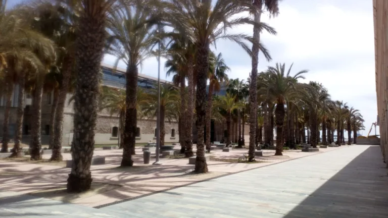 El Partido Cantonal denuncia la inacción del Ayuntamiento en el traslado del submarino 'Tonina'