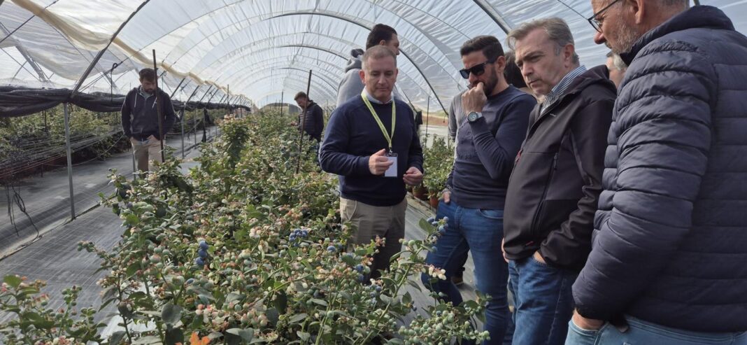 AgritechMurcia apuesta por la genética como pilar del desarrollo agrícola sostenible