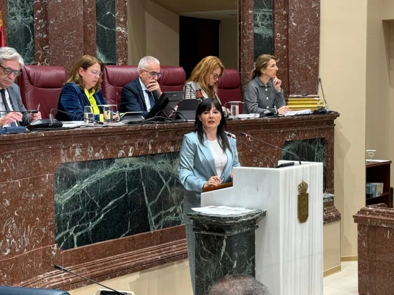 El PP rechaza la moción del PSOE sobre el 8M y se niega a reconocer la lucha feminista