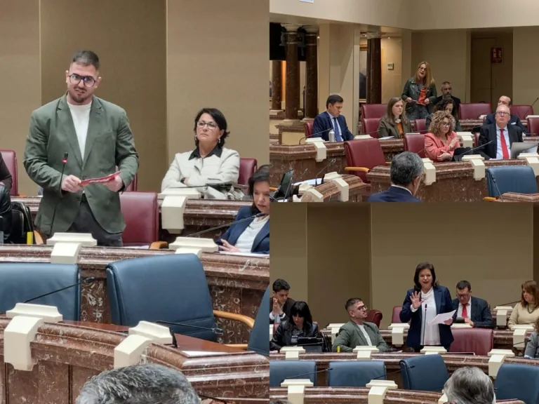 El PSOE exige respuestas al Gobierno regional sobre brecha salarial, salud mental juvenil y patrimonio abandonado