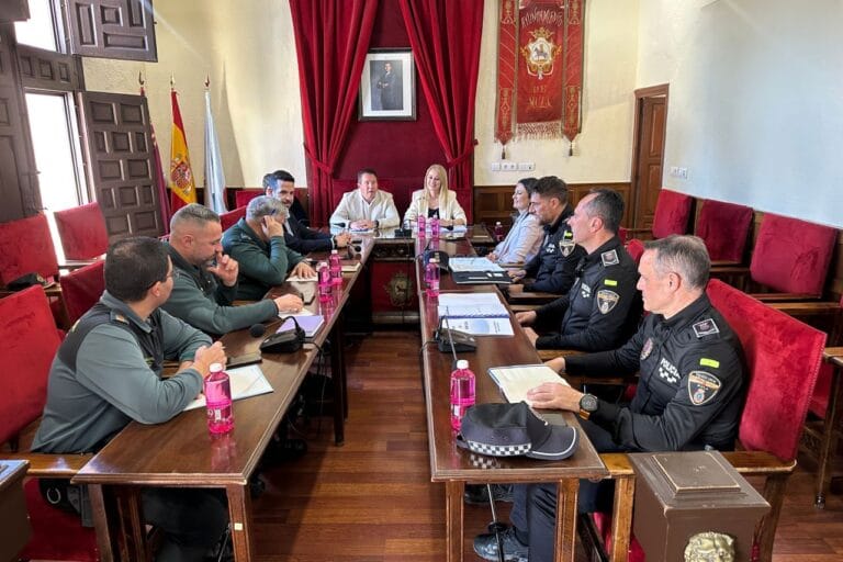 Mula activa un dispositivo especial con más de 240 efectivos para garantizar la seguridad en sus fiestas