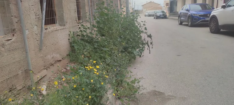 El PSOE denuncia el abandono de Almendricos durante Semana Santa y acusa a Fulgencio Gil de trato desigual a las pedanías