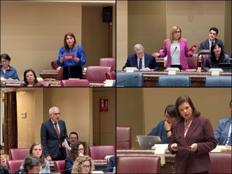 El PSOE denuncia que el PP somete los presupuestos regionales al chantaje ideológico de Vox