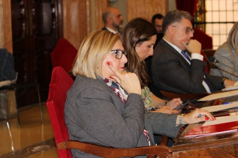 El PSOE de Murcia propone instalar cambiadores inclusivos en espacios públicos del municipio