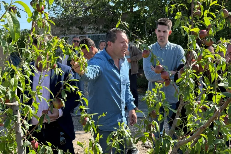 El alcalde de Mula pide declarar Yéchar como zona gravemente afectada tras la granizada