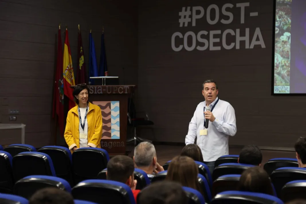 La UPCT convierte su Curso Internacional de Procesado Mínimo en la primera microcredencial europea sobre Tecnología Postcosecha La UPCT convierte su Curso Internacional de Procesado Mínimo en la primera microcredencial europea sobre Tecnología Postcosecha