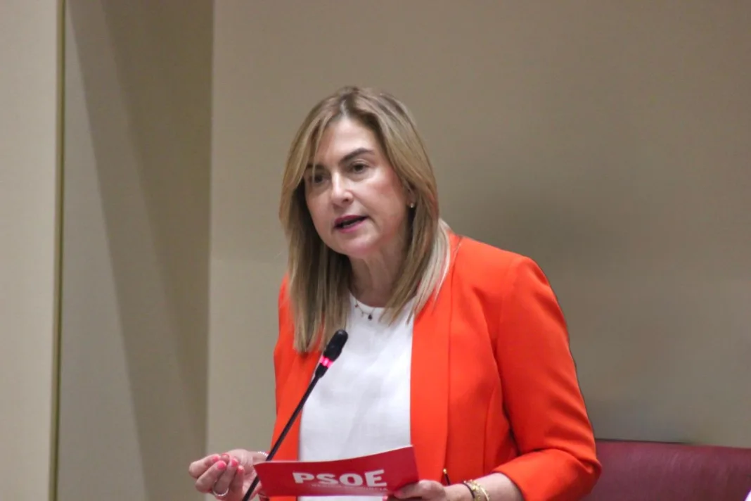 FOTO_CarminaFernández El PSOE denuncia el “desmantelamiento” del servicio de Cirugía Vascular en el Hospital Santa Lucía y la “chapuza” en el reparto de fruta escolar