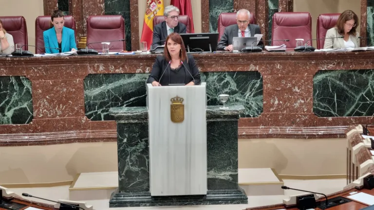 El PSOE logra aprobar en la Asamblea una moción para aumentar el presupuesto educativo en la Región