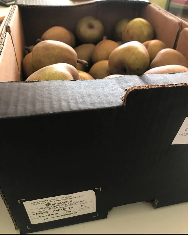 El PSOE denuncia que el Gobierno regional reparte fruta sudafricana en los colegios mientras abandera la agricultura murciana El PSOE denuncia que el Gobierno regional reparte fruta sudafricana en los colegios mientras abandera la agricultura murciana