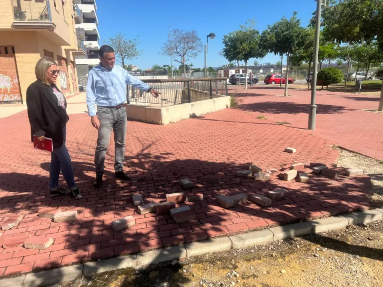 Los socialistas denuncian el deterioro de más de diez zonas verdes y exigen al PP soluciones urgentes ante la falta de mantenimiento