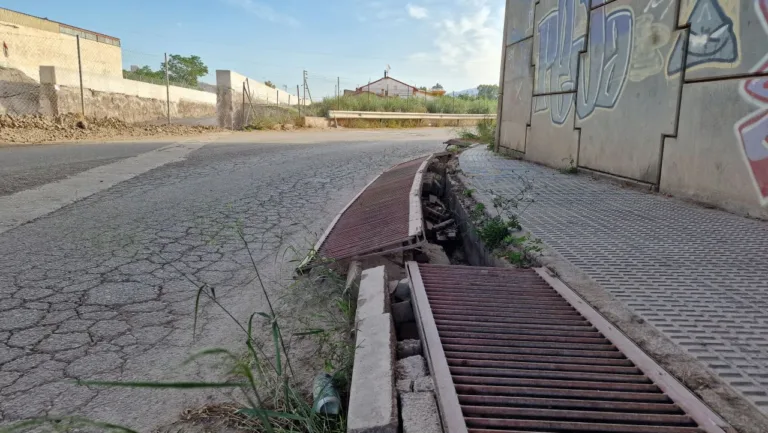 El PSOE de Lorca denuncia el abandono de la Avenida Sutullena y exige un plan urgente de limpieza y mantenimiento