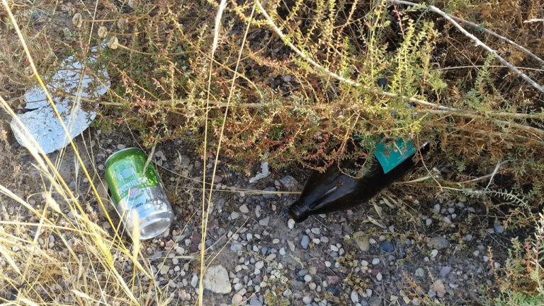 El PSOE de Lorca exige al alcalde una intervención urgente para eliminar la basuraleza junto al castillo