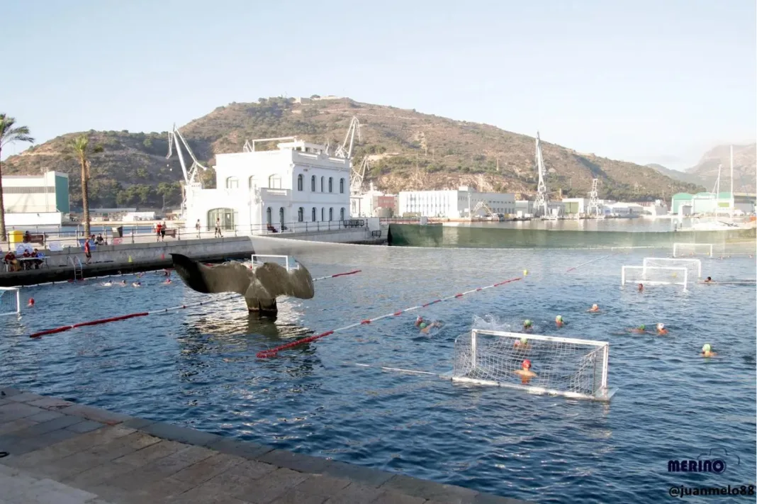 Campeonato internacional waterpolo cola de ballena El PSOE propone habilitar la dársena de la Cola de Ballena como zona de baño este verano en Cartagena