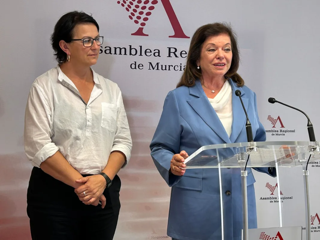 FOTO_LolaJara El PP tumba la protección BIC de las casas torre y deja en el abandono el patrimonio de la huerta de Murcia