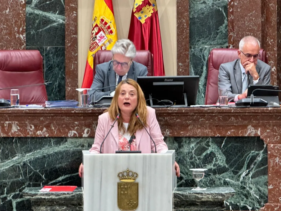 FOTO_VirginiaLopo (002) El PSOE logra el respaldo de la Asamblea para exigir mejoras urgentes en el Hospital Virgen del Castillo de Yecla