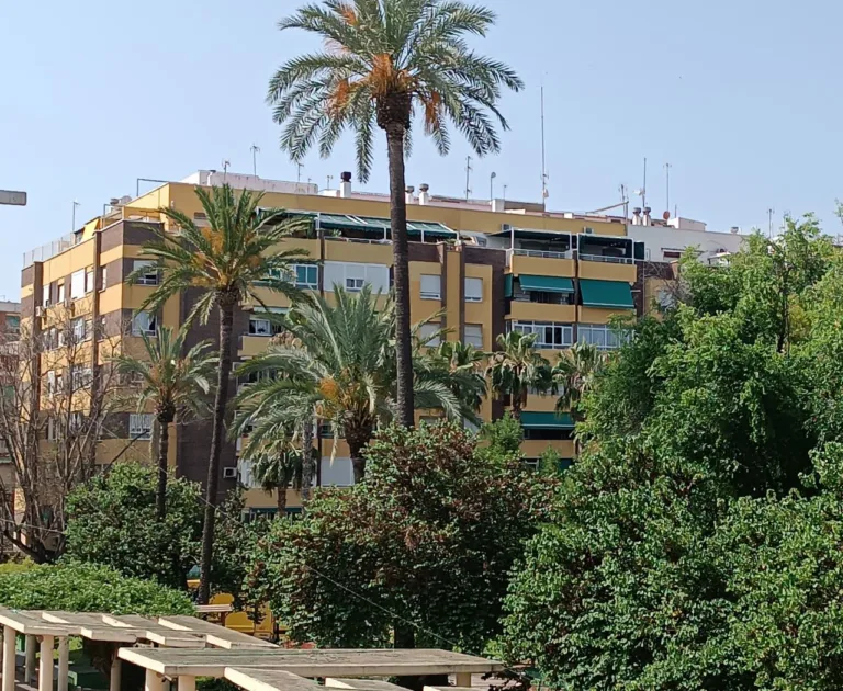 El PSOE denuncia que la nueva fiscalidad golpea a familias y negocios, y acusa al alcalde de incoherencia y falta de transparencia