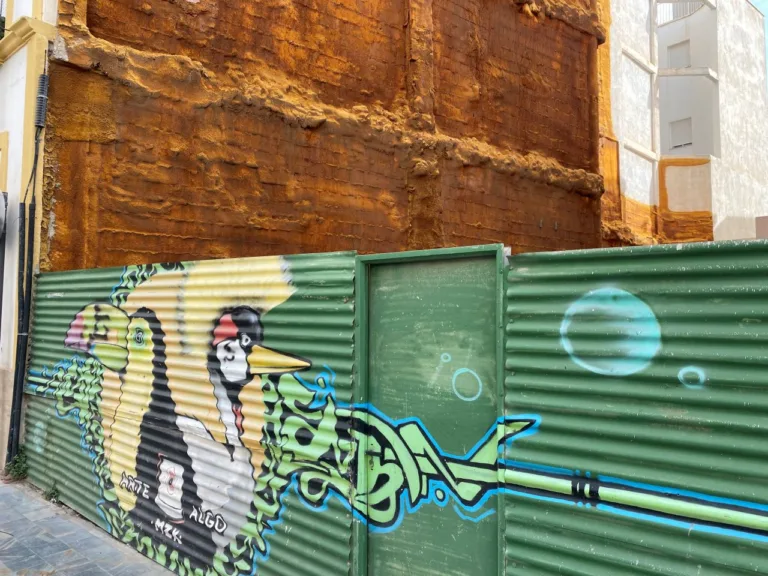 El PSOE de Lorca propone destinar solares abandonados en la calle Álamo a servicios públicos y vivienda