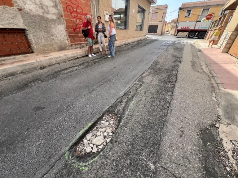 El PSOE exige licitar de inmediato el contrato de mantenimiento en pedanías tras dos años de abandono