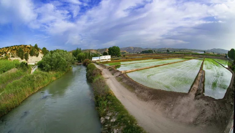 Calasparra acoge por primera vez la Copa de España absoluta de slalom olímpico y kayak cross