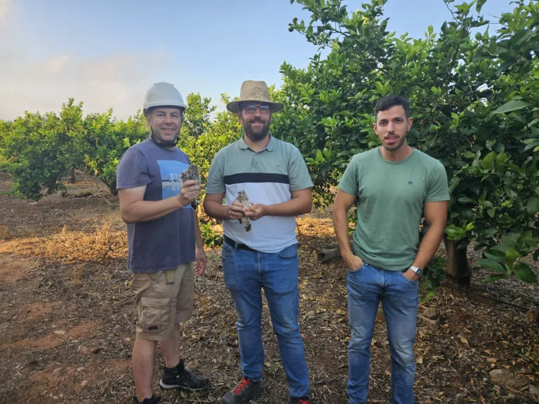 Más de 300 refugios para fauna instalados en cultivos de la cuenca del Mar Menor para controlar plagas sin pesticidas
