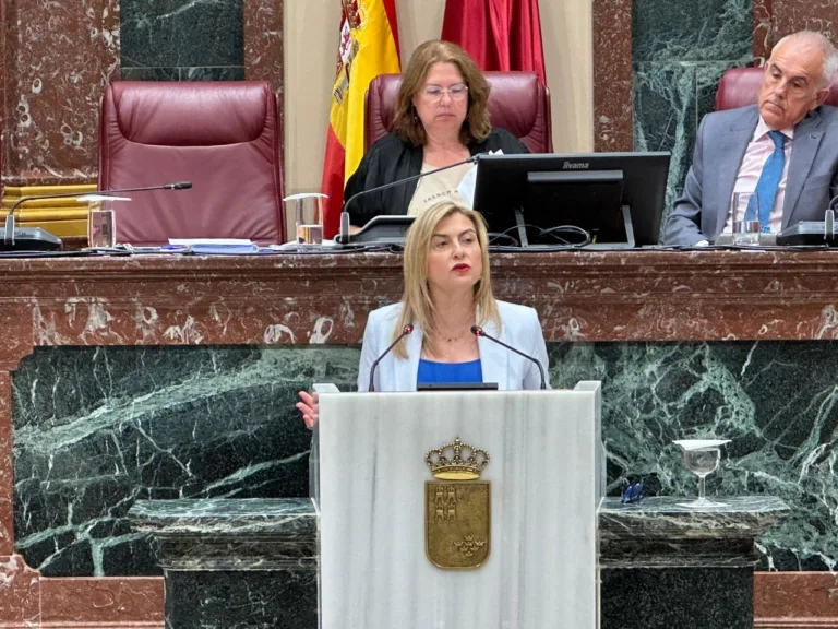 El PSOE acusa al PP de bloquear la ley de comarcalización y frenar la descentralización de la Región