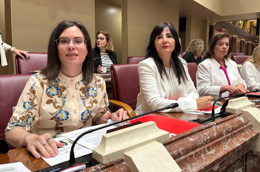El PSOE exige la dimisión inmediata de la consejera de Política Social por el “mercadeo” con 60 menores tutelados El PSOE exige la dimisión inmediata de la consejera de Política Social por el “mercadeo” con 60 menores tutelados