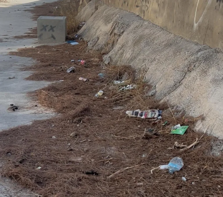 El PSOE exige al PP un plan urgente de limpieza de ramblas y solares ante el riesgo de incendios y lluvias intensas