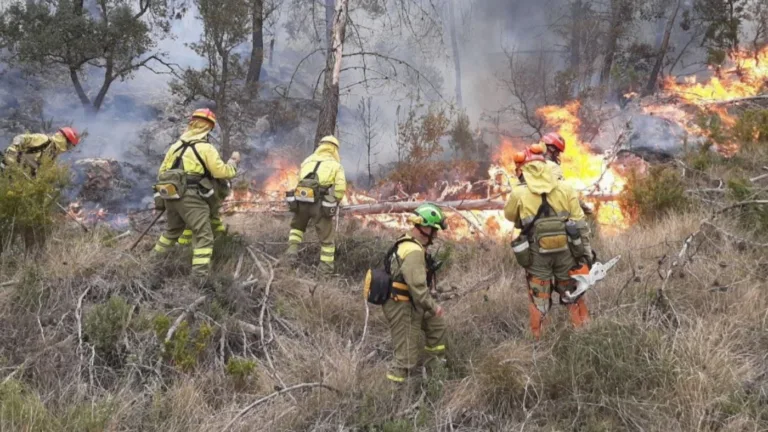 CCOO denuncia la inacción del Gobierno ante los compromisos de la Ley Básica de Bomberos Forestales