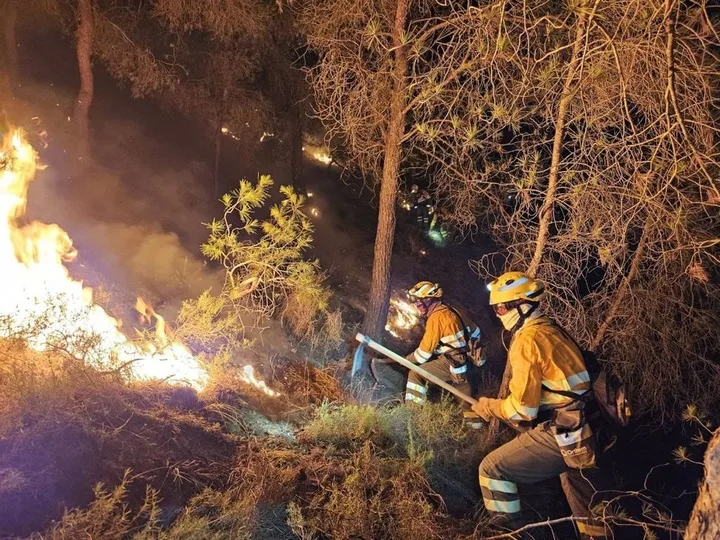 CCOO alerta de que los montes de la Región de Murcia son un “polvorín” y exige más brigadas forestales y mejores condiciones laborales CCOO alerta de que los montes de la Región de Murcia son un “polvorín” y exige más brigadas forestales y mejores condiciones laborales