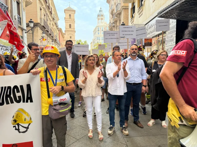 El PSOE reclama al Gobierno regional que cumpla la ley de bomberos forestales